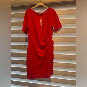 medium White House, black market dress stretchy material bright rose